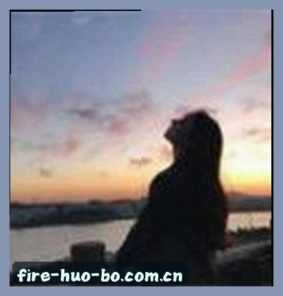 孙丽